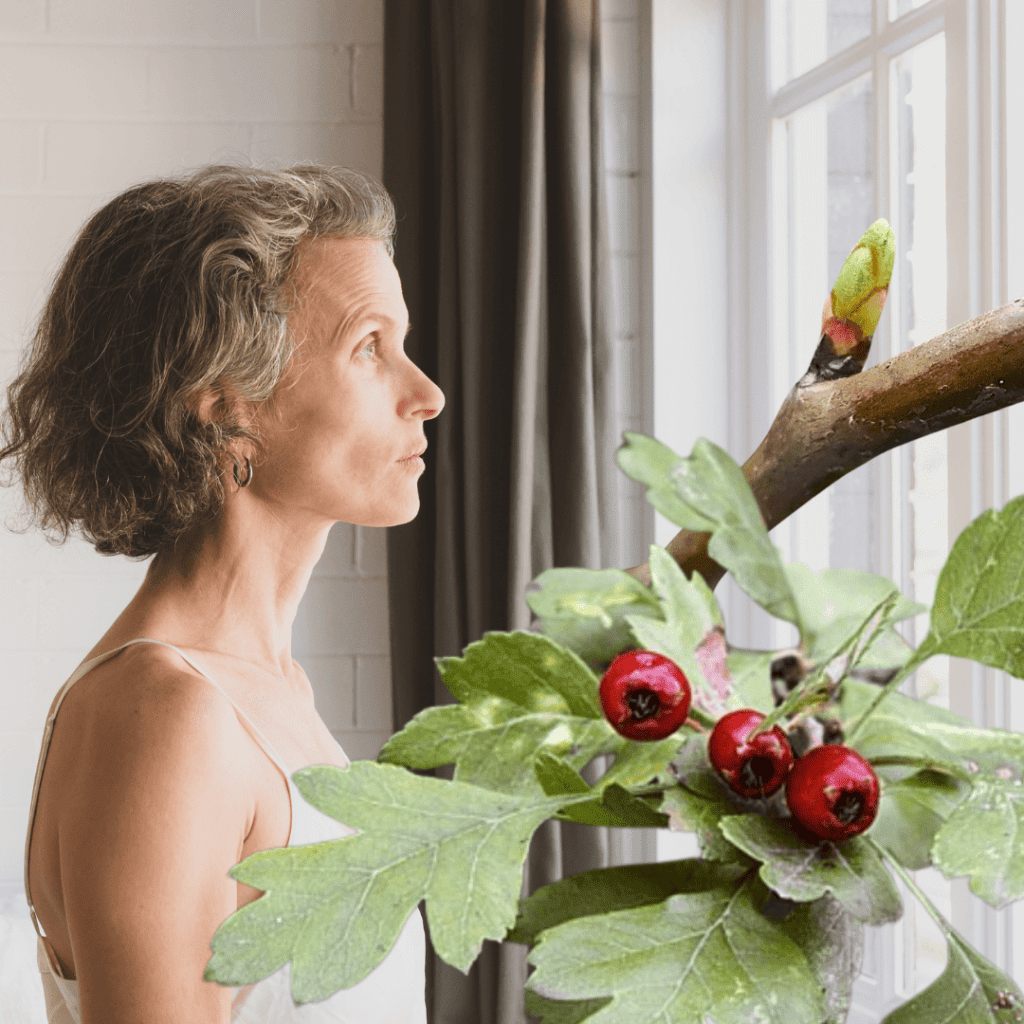 Préménopause : symptômes, causes et solutions naturelles pour mieux vivre cette transition
