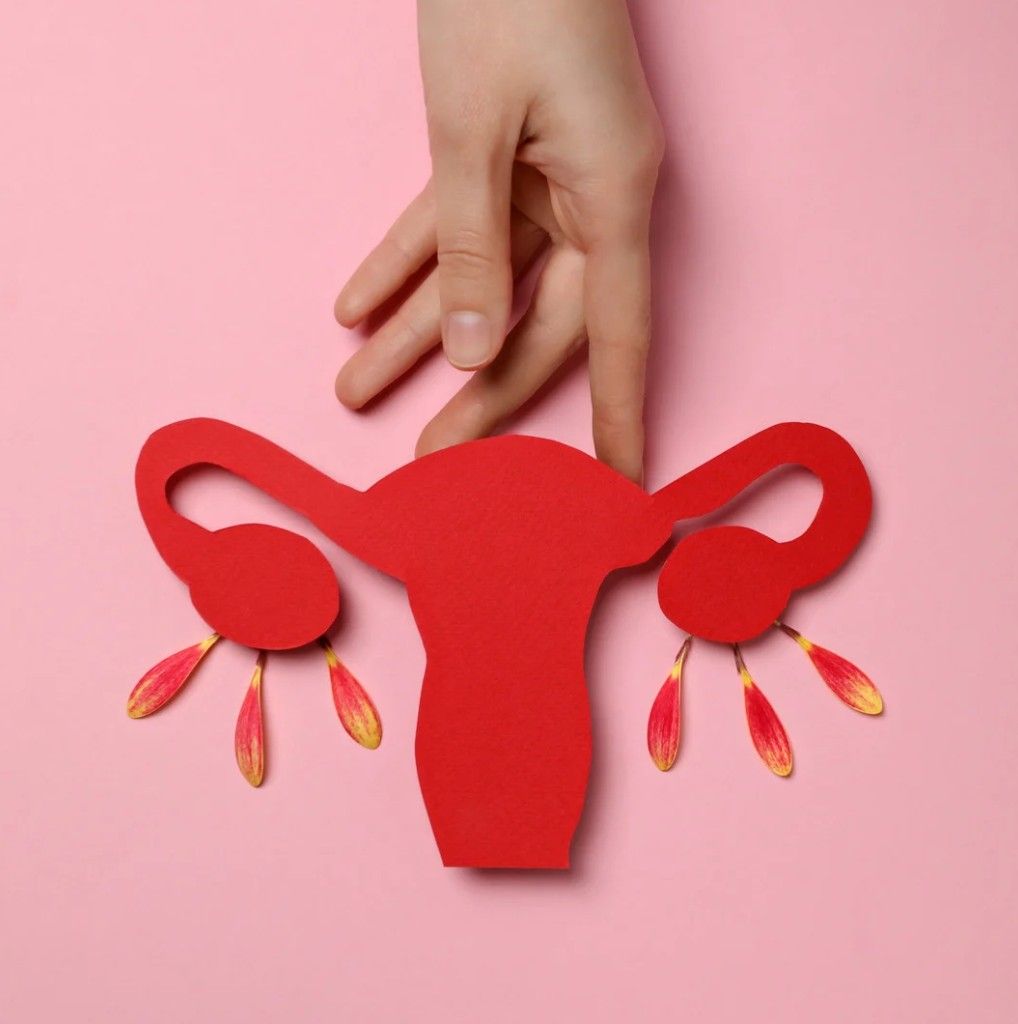 Syndrome Prémenstruel : 4 Bourgeons pour Vivre ses Cycles avec Plus de Douceur