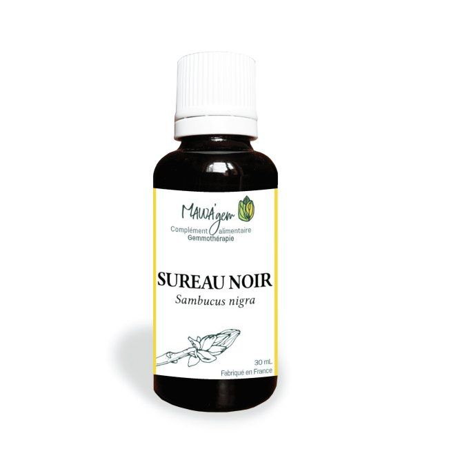 Sureau noir