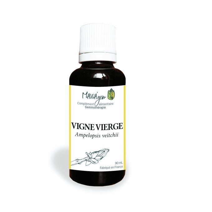 Vigne vierge