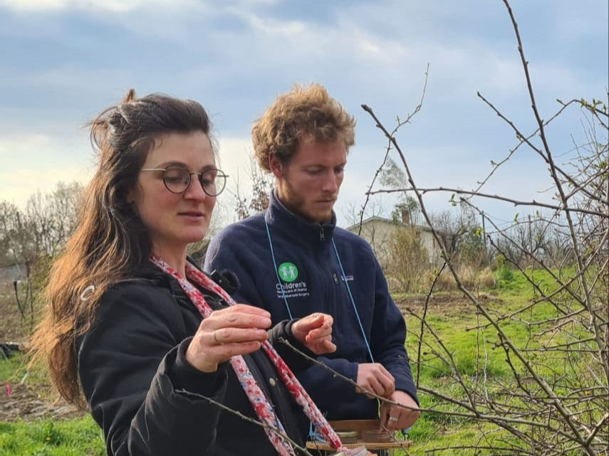 Gemmothérapie Mawagem Gemmothérapie Mawagem